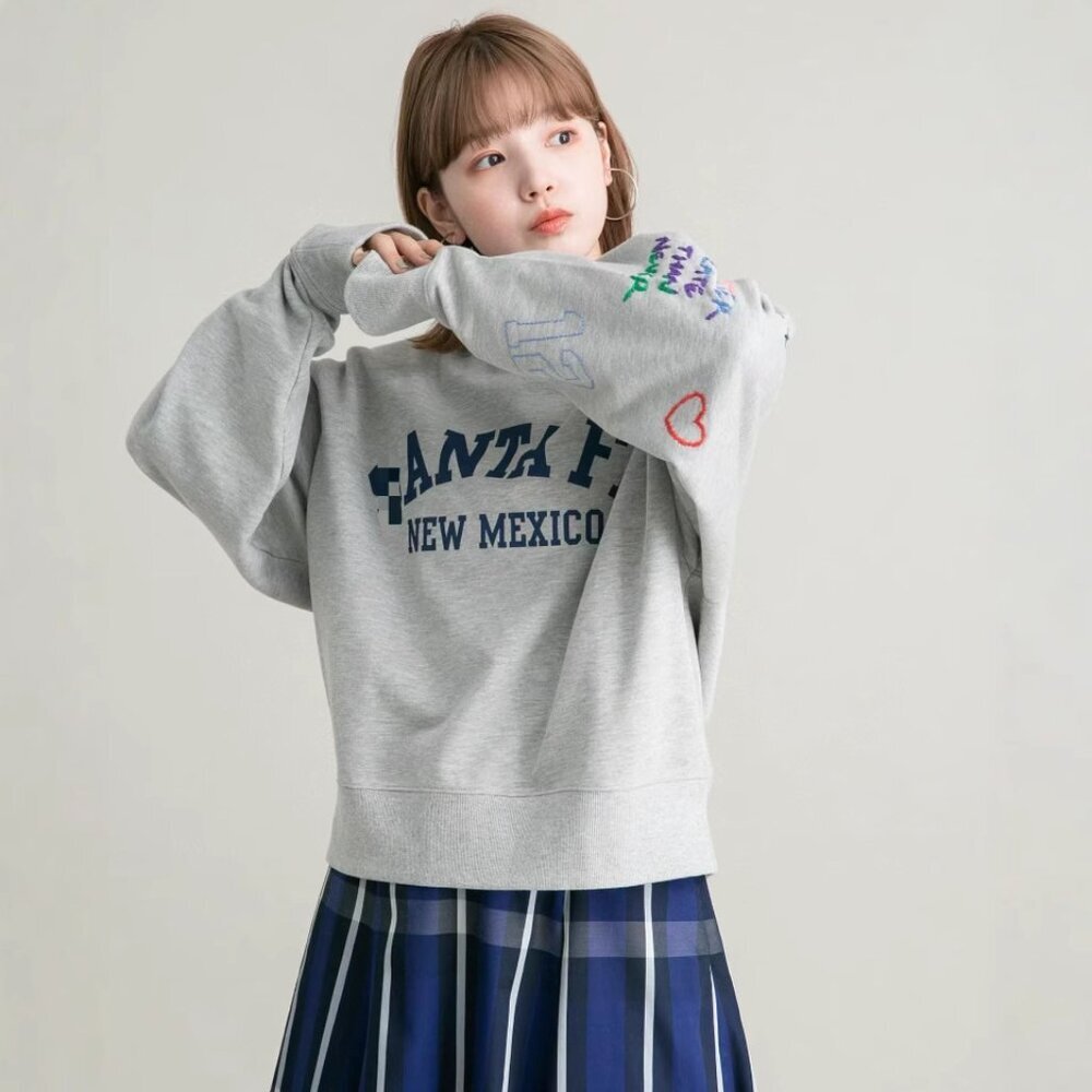 "Ctrl+" Japan Embroidery  "Santa Fe New Mexico"